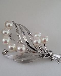Current Jewellery Highlight